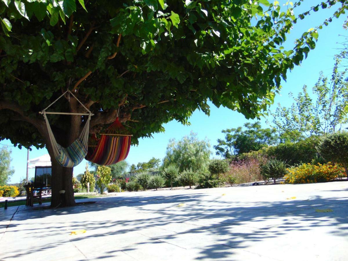 Villa Dora Faliraki Bagian luar foto