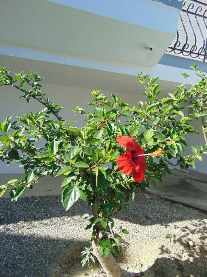 Villa Dora Faliraki Bagian luar foto